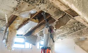 Best Post-Construction Mold Inspection  in Mayfield Heights, OH